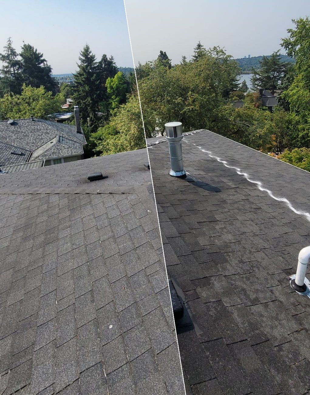 Before and after of the same Laurelhurst roof section around a metal vent pipe: dusty shingles on the left, the cleaned roof with a white line of moss-prevention treatment on the right, with the lake and tree canopy behind