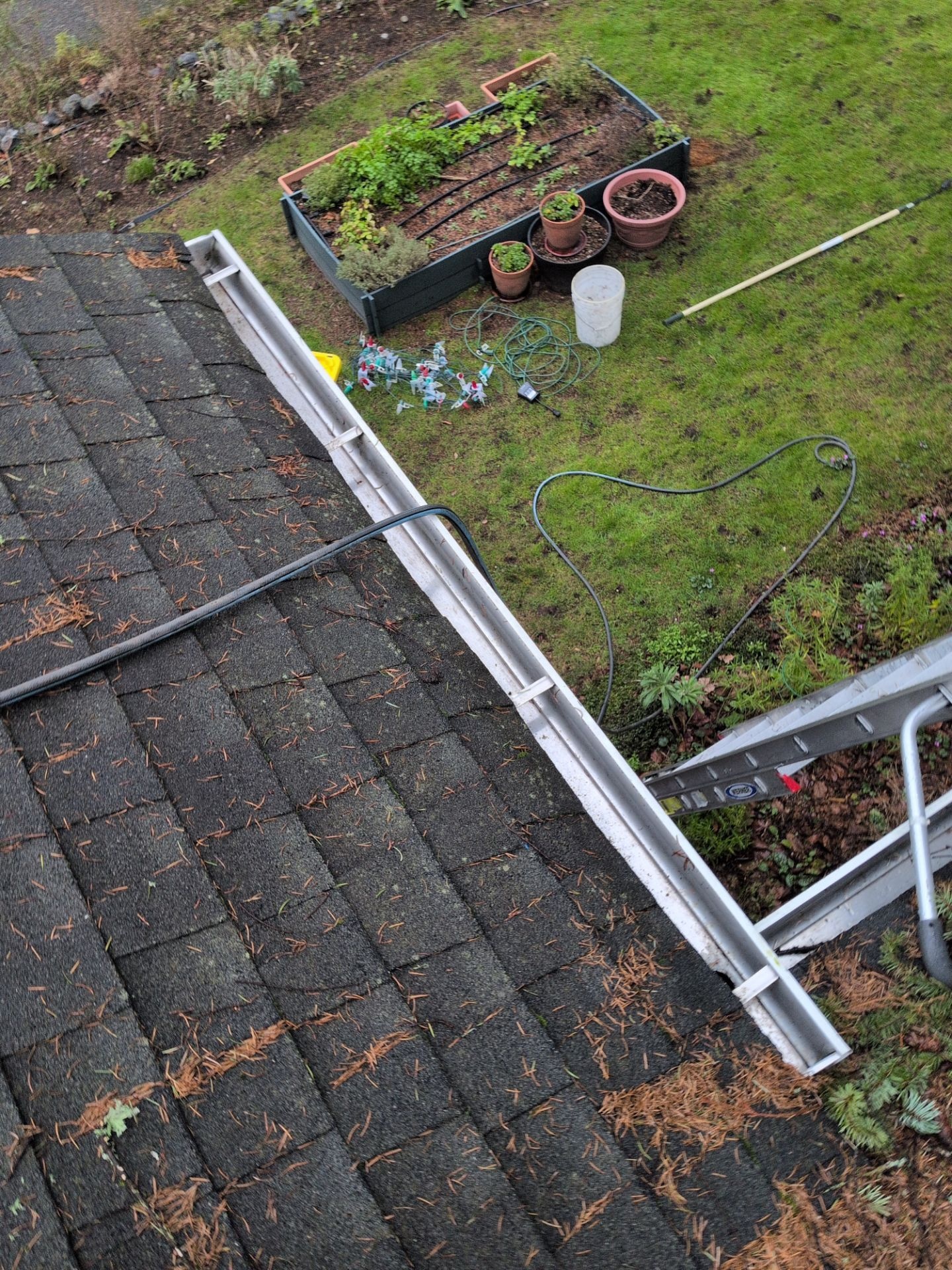 Renova Exteriors service in Bothell