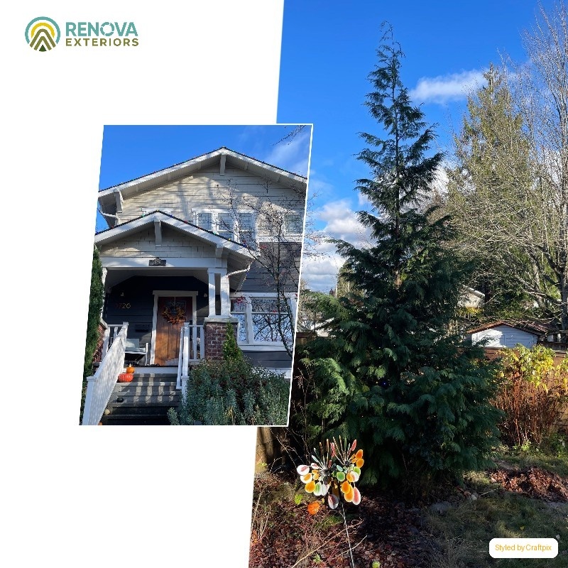 Renova Exteriors service in Queen Anne