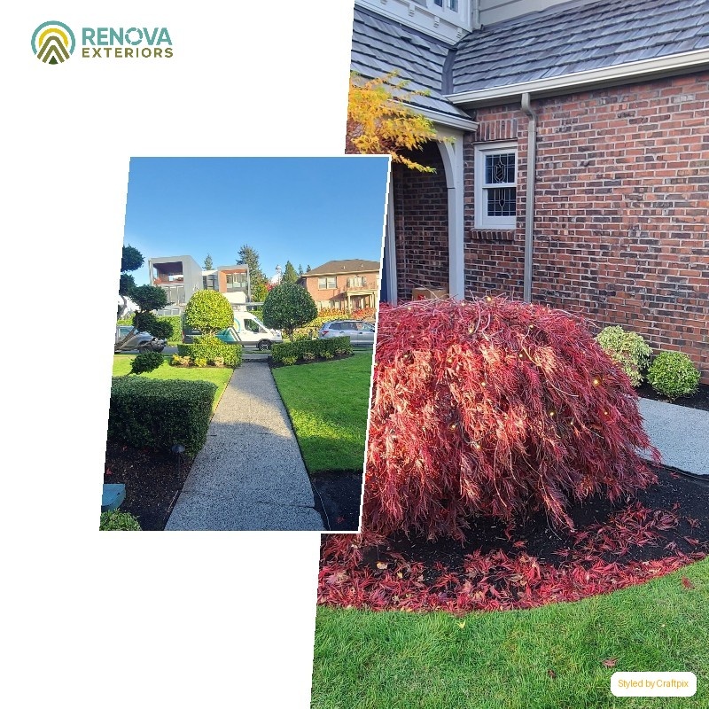 Renova Exteriors service in South Park